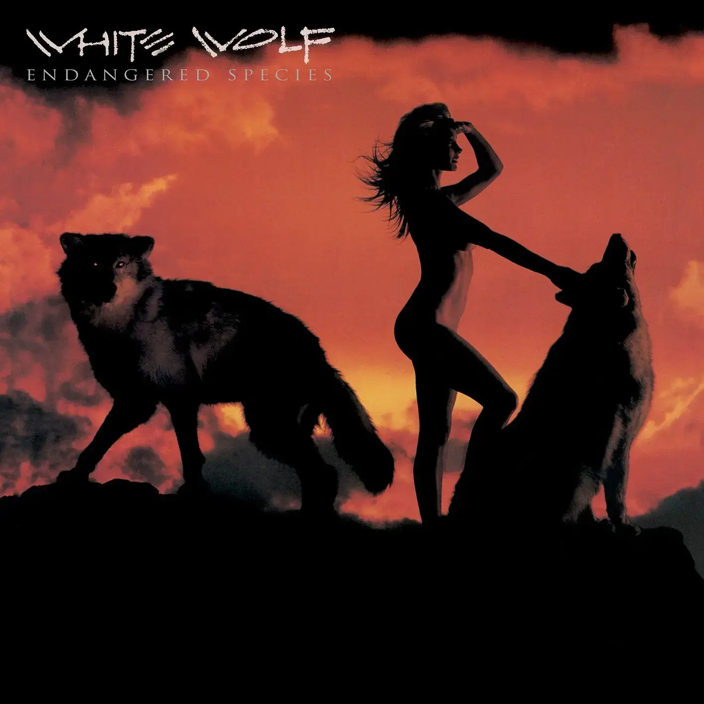 White Wolf - Endangered Species